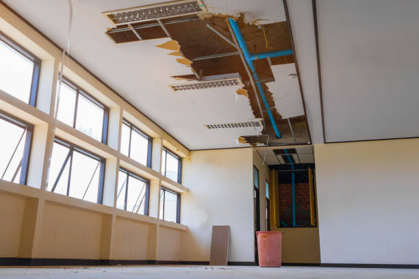 Best 24/7 water damage repair  in Sterling, IL