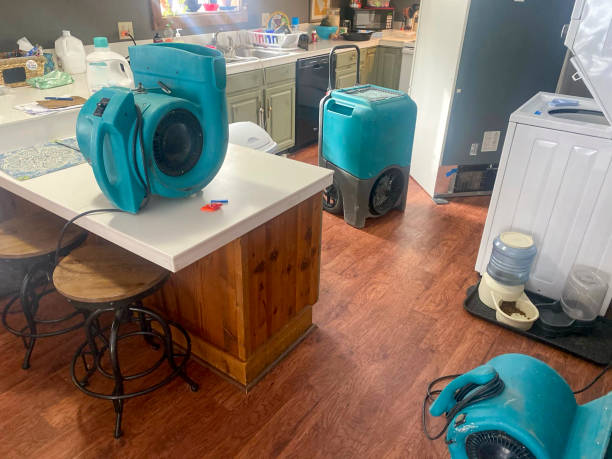 Best Local water damage restoration  in Sterling, IL