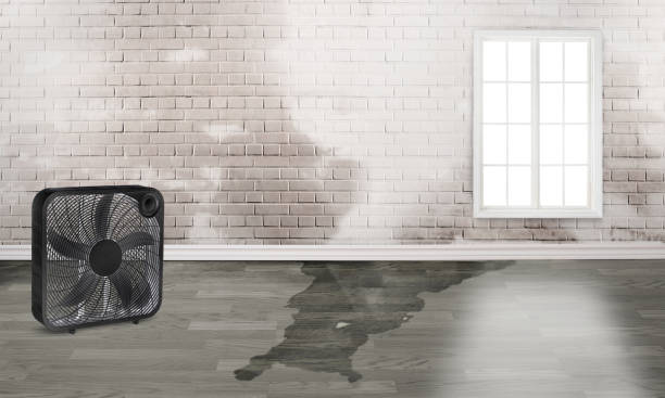 Best Flooded house restoration  in Sterling, IL