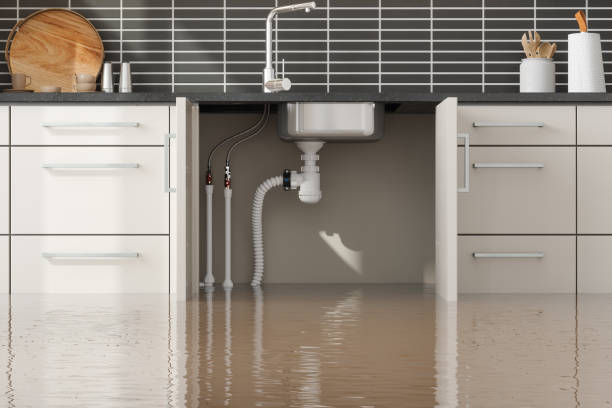 Sewage cleanup and water damage restoration in Sterling, IL