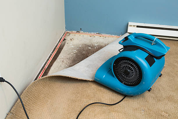 Water damage restoration experts in Sterling, IL